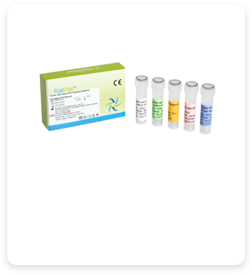 Human JAK2 Gene V617F Mutation Detection Kit (Digital PCR)