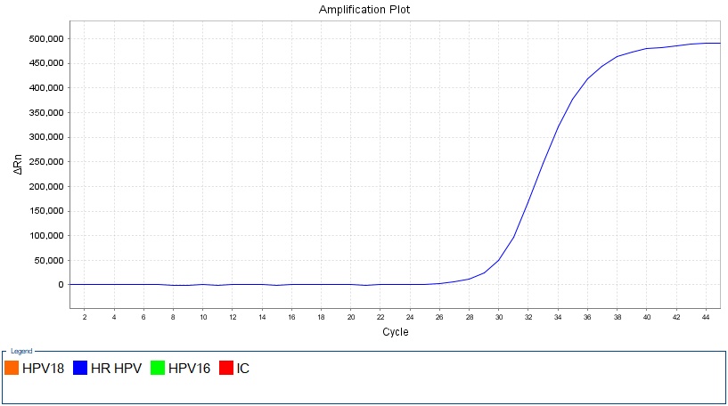 HPV33