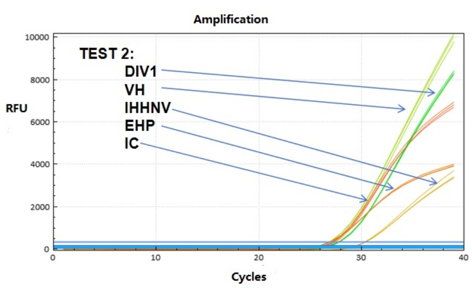 Shrimp Pathogen Nucleic Acid Test Kit (qPCR)