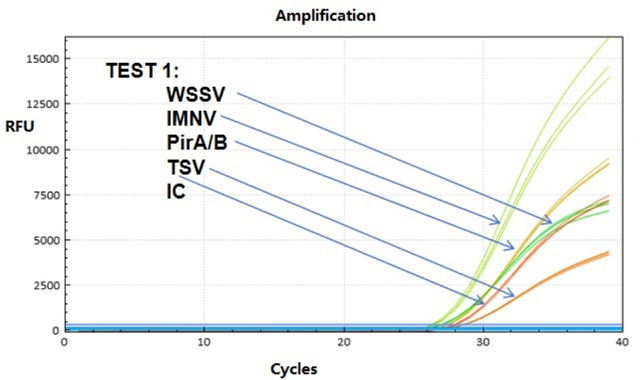 Shrimp Pathogen Nucleic Acid Test Kit (qPCR)