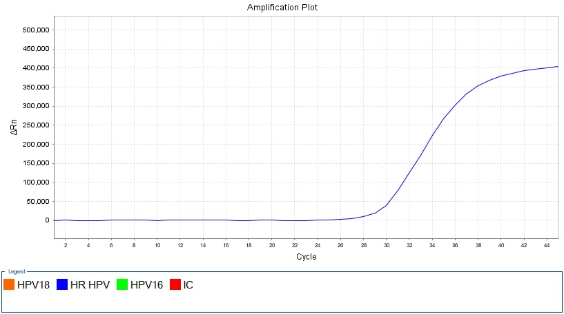 HPV31