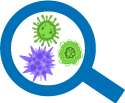 Detection of microbial pathogens